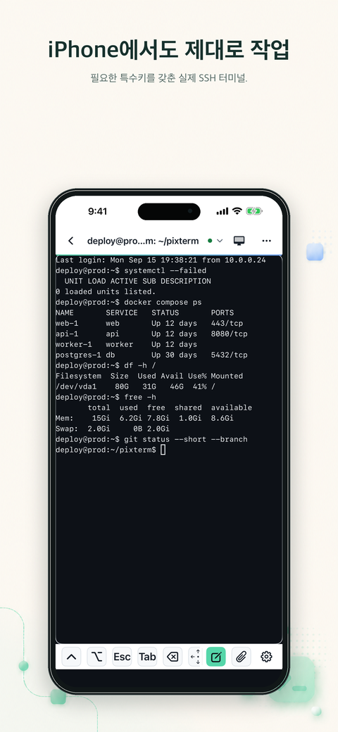 특수 키와 입력 도구를 갖춘 PixTerm SSH 터미널 화면